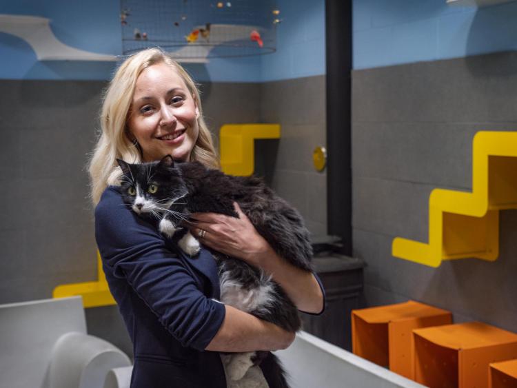Lindsay Scott with a cat at Boulder's Humane Society 