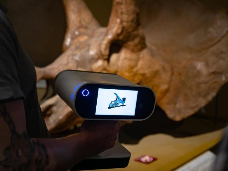 The 3D scan of the. Triceratops skull as seen on the screen of the scanning device.