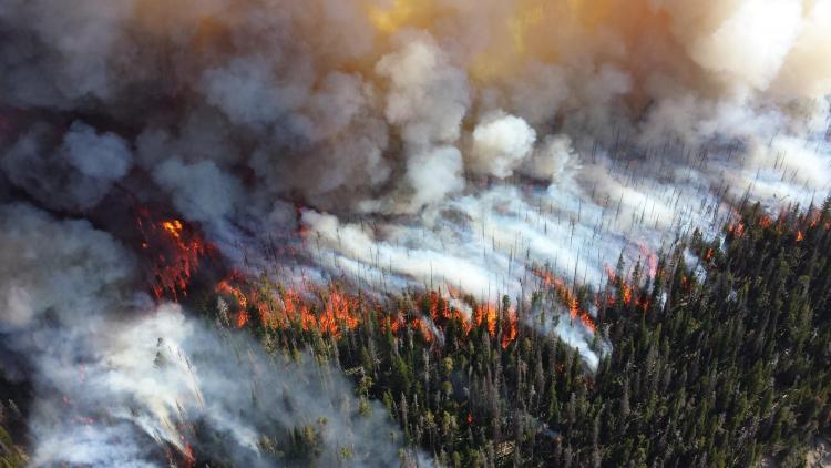 Smoke from nearby wildfires creates eerie baseball scene