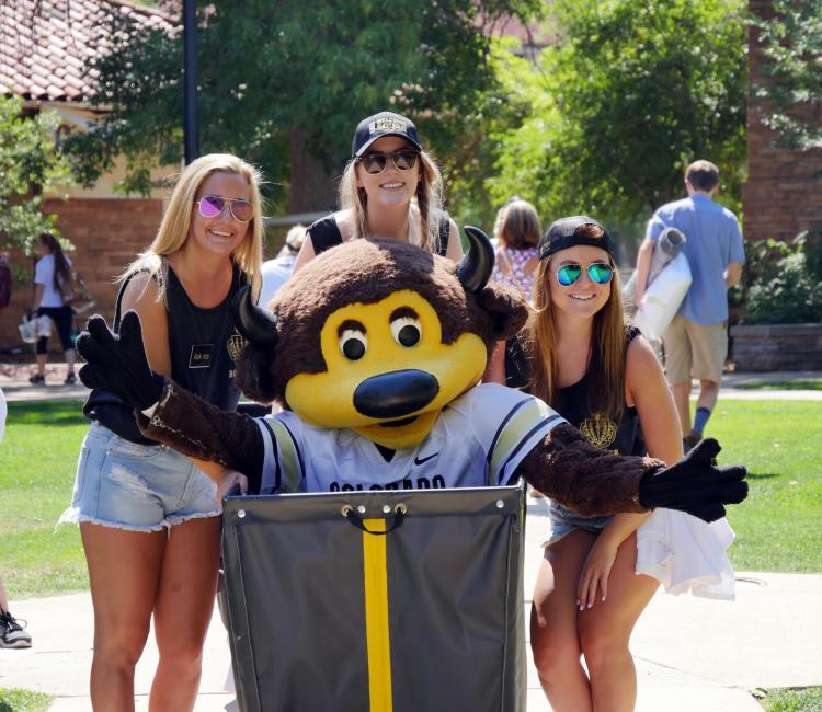 Campus to be a hive of activity during movein, Fall CU