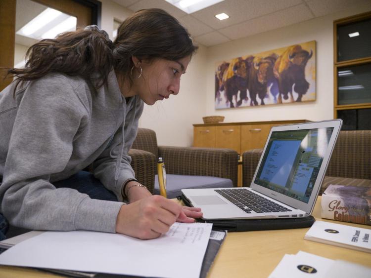 Announcing the new CU Boulder Class Search CU Boulder Today