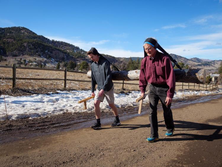 Scientists may have solved a Chaco Canyon mystery by hauling logs