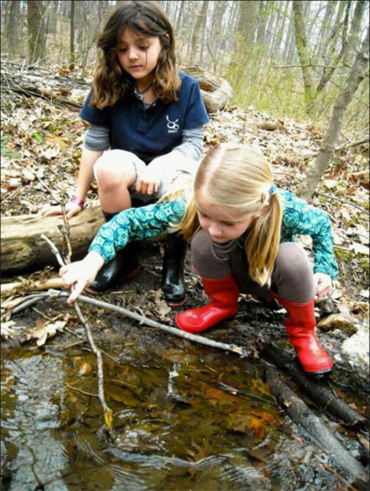 Children explore in a creek.