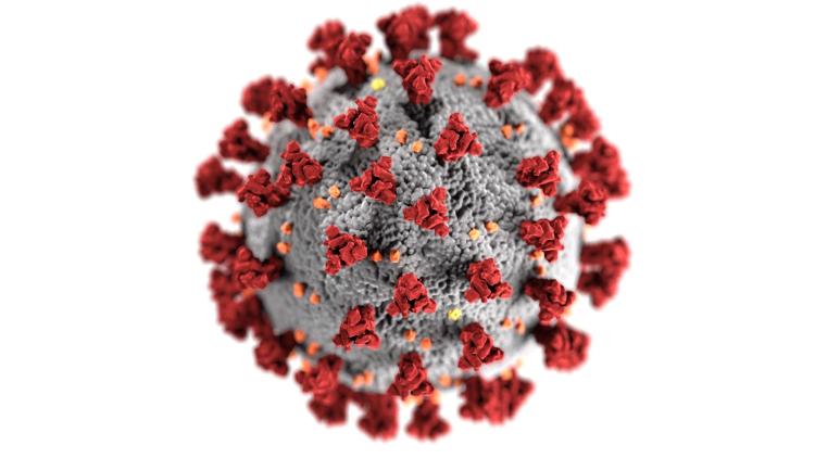 The SARS-CoV-2 virus