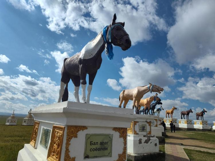 Statues of several horses on plinths with plaques bearing writing in Mongolian
