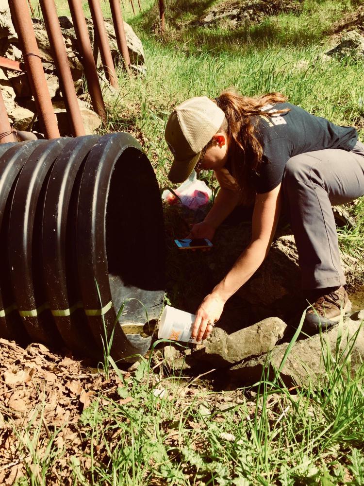 Anna Hermes takes water samples