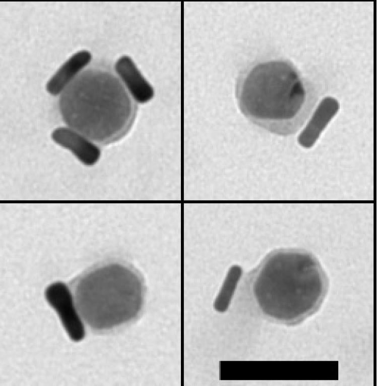 Microscopic view of nanostructures