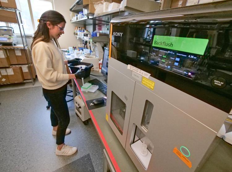 Irene Francino Urdaniz in the lab