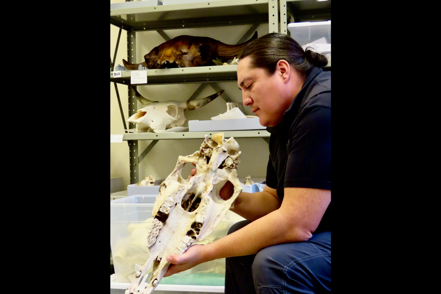 Chance Ward inspects a horse skull