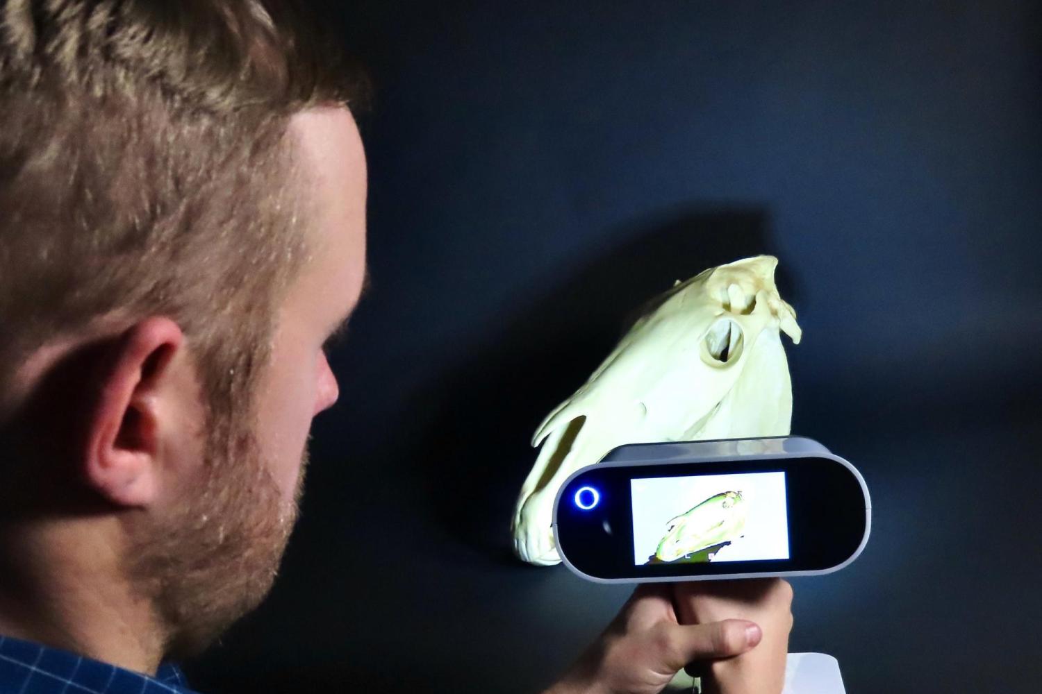 William Taylor takes a 3D scan of a horse skull