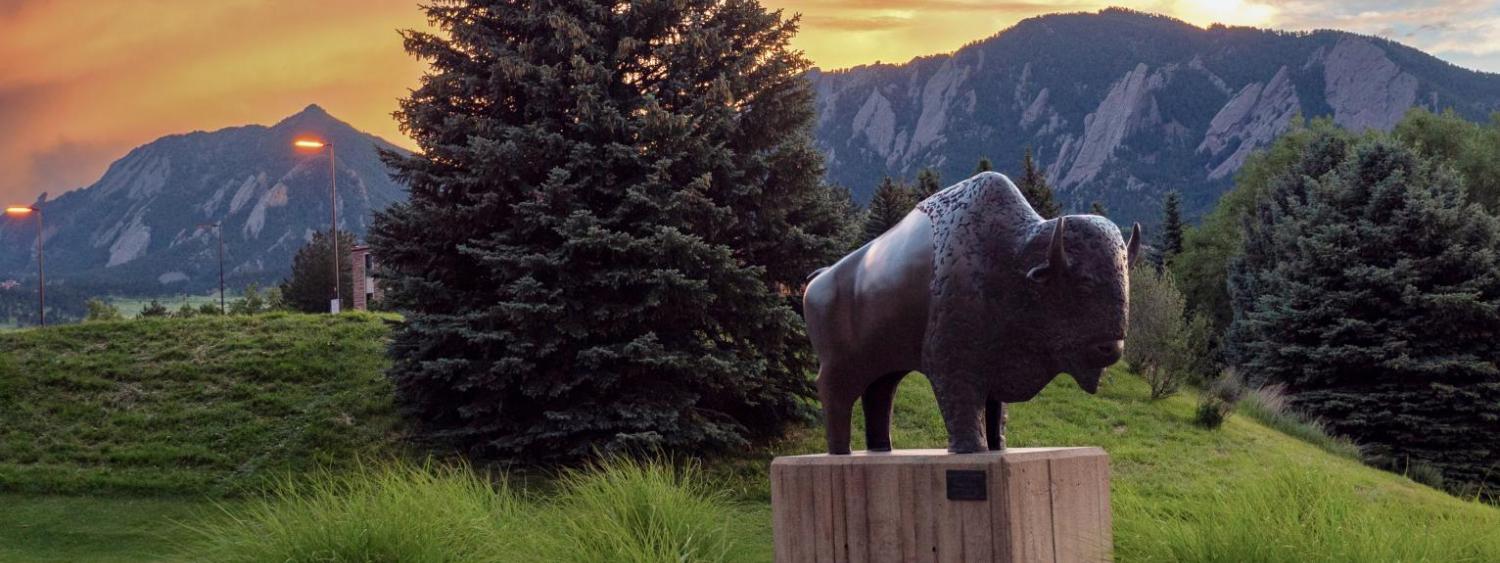 Ralphie statue on campus with sunset in background