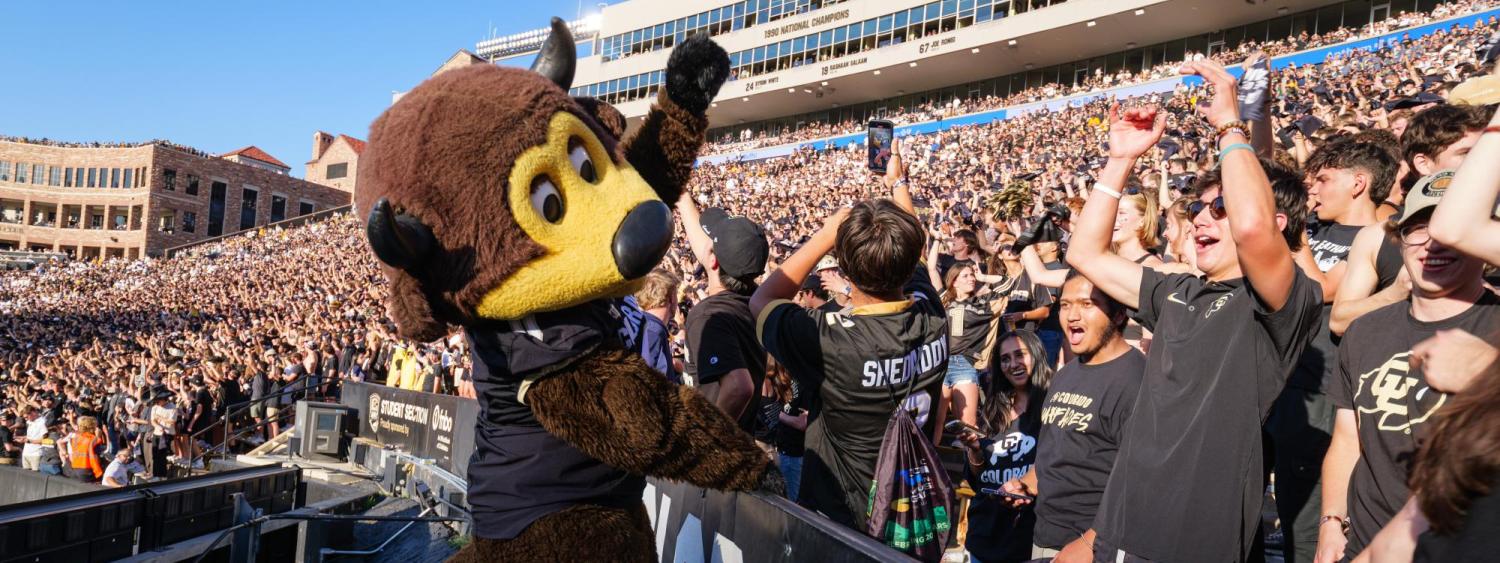 Chip and fans cheer on the Buffs at Folsom Field