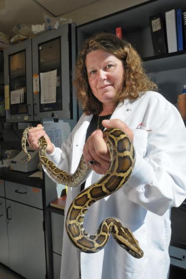 Leslie Leinwand with a python