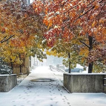 Snowy campus with fall colors on trees