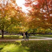 Students walk across campus bursting with fall colors