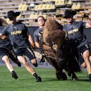 CU Boulder, Ball Introduce Game-Changing Aluminum Cup At Folsom Field -  University of Colorado Athletics