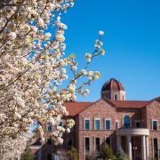 Early spring blooms on campus near the Koelbel business building