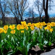2021 Spring Scenic photos on the CU Boulder campus. (Photo by Glenn Asakawa/University of Colorado)