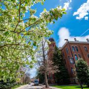 Spring blooms near Old Main building on campus