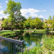 Kittredge Pond on the CU Boulder campus