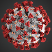 Illustration of a COVID-19 virus