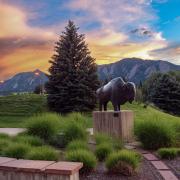 Ralphie statue on campus with sunset in background