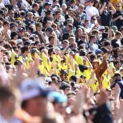 Football game with fans dressed in banana costumes