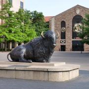 Buffalo statue outside Balch Fieldhouse at Folsom Stadium