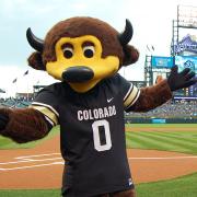 Chip the Buffalo mascot at Coors Field