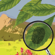 Magnifying glass looks at thumbprint on the Colorado landscape