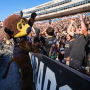 Chip and fans cheer on the Buffs at Folsom Field