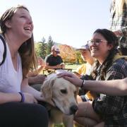 Students pet a therapy dog on campus