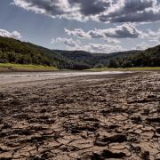 Image of a riverbed during drought