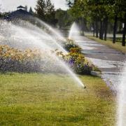 Sprinklers watering grass and flowers near a city sidewalk