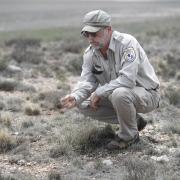 U.S. Fish and Wildlife Service worker surveys grass