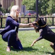 Lindsay Scott with a dog at Boulder's Humane Society 