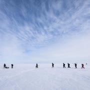 Arctic sea ice