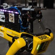 Electronics light up on a dog-like robot
