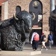 Buffalo sculpture in Folsom Plaza
