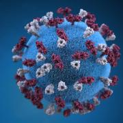Measles virus particle illustration courtesy of the CDC