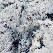 'Needle Ice' by Mickey Rush