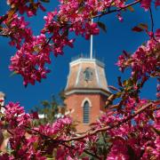 Old Main with spring blossoms