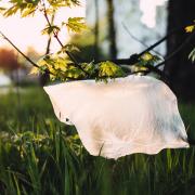 Plastic bag on green grass