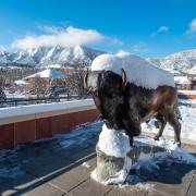 Snowy campus on Monday. Photo by Patrick Campbell.