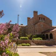 A campus building is drenched in sun, with a blossoming branch of pink flowers in the foreground.