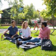 People on the CU Boulder campus, sitting under a tree