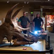 Nick Conklin (kneeling) of 3D Printing Colorado captures a scan of a Triceratops skull.
