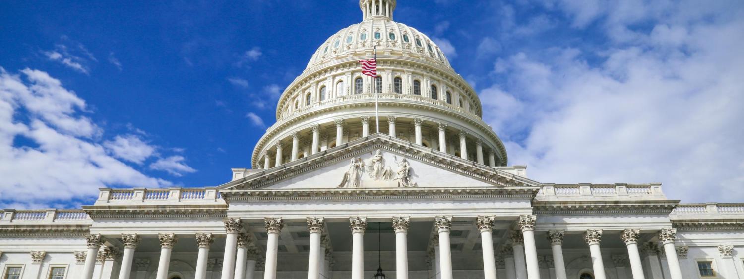 The U.S. Capitol (Photo by Louis Velazquez on Unsplash)