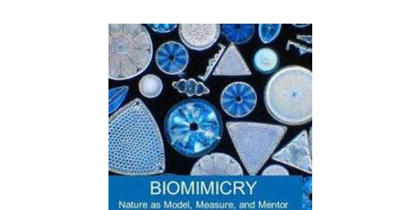 biomimicry logo