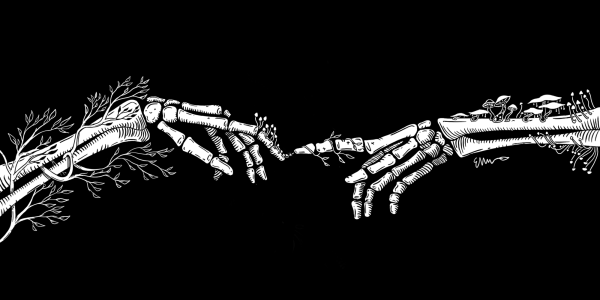 An illustration of two skeletal arms and hands touching fingers against a black background